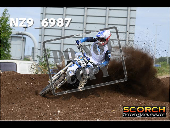 Experts-384