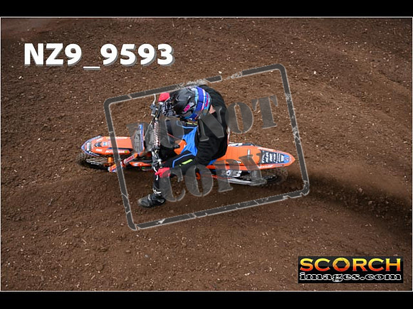 Experts-048