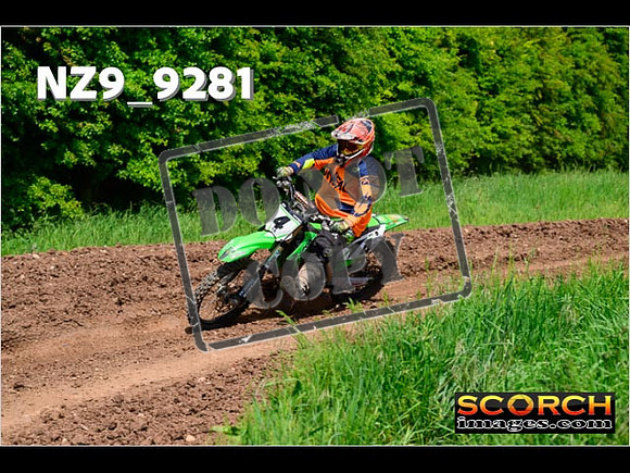 IntersGreenOrange-461