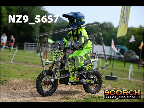 PeeWee Track-038