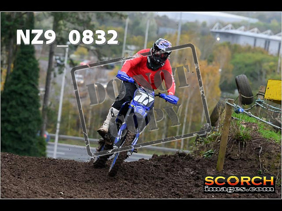 Experts-133