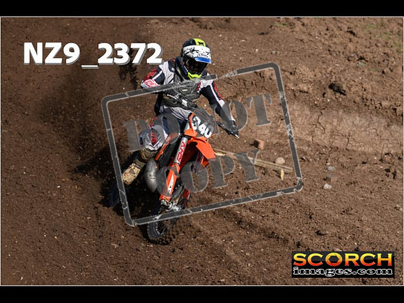 Experts-030