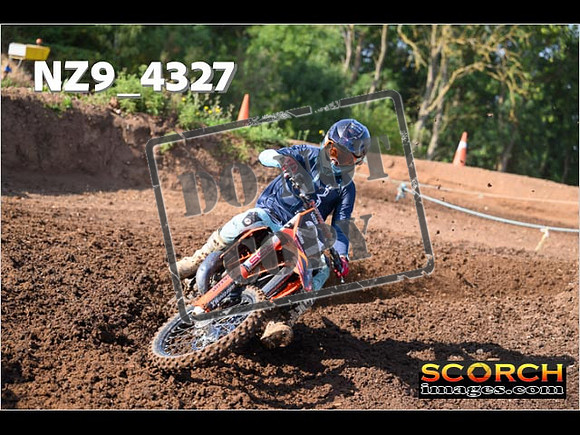 Experts-061