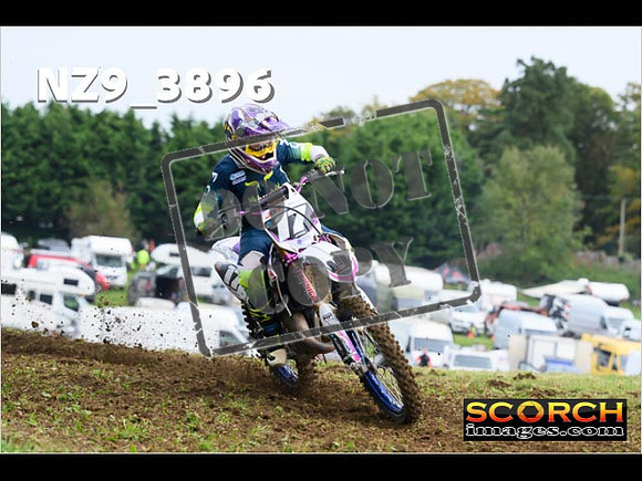 Experts-086