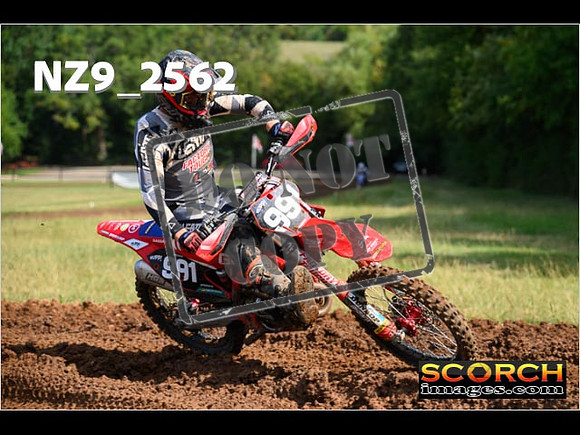 Experts-124
