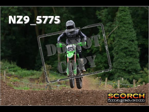Experts-244