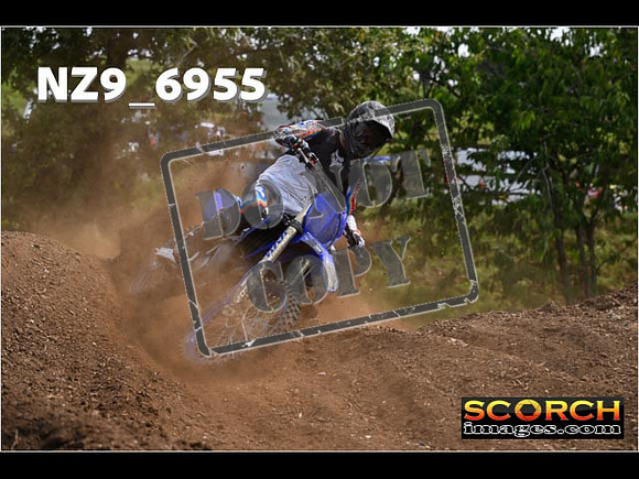 Experts-353