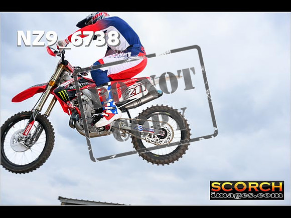 Experts-342