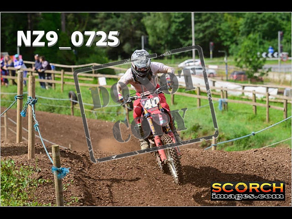 Experts-050