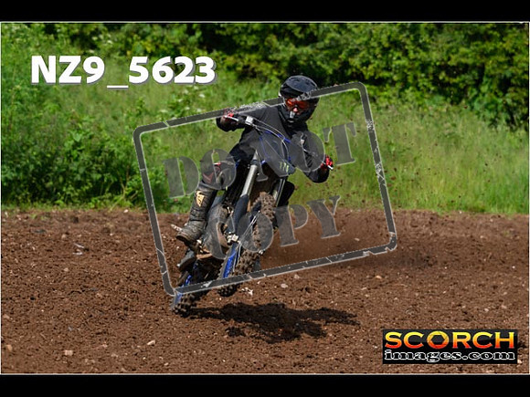 Experts-055