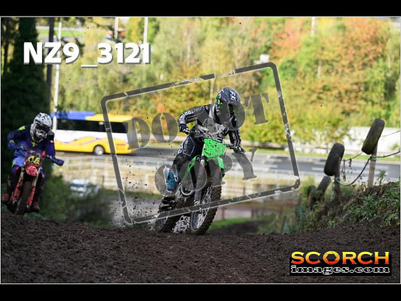 Experts-115