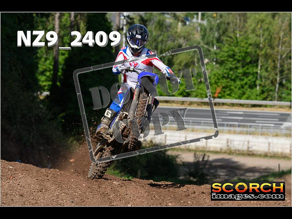 Experts-066