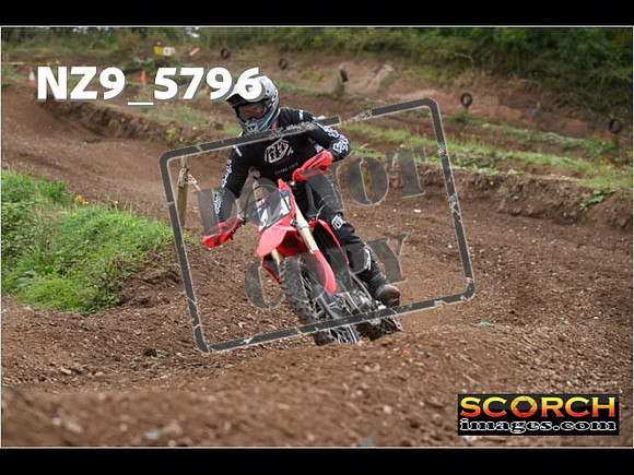Experts-264