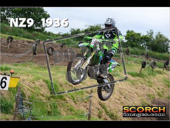 Experts-155
