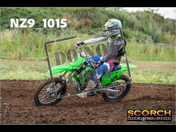 IntersGreen-032