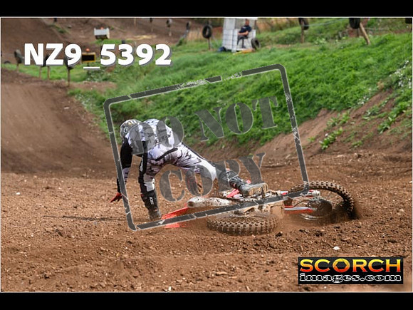 Experts-168