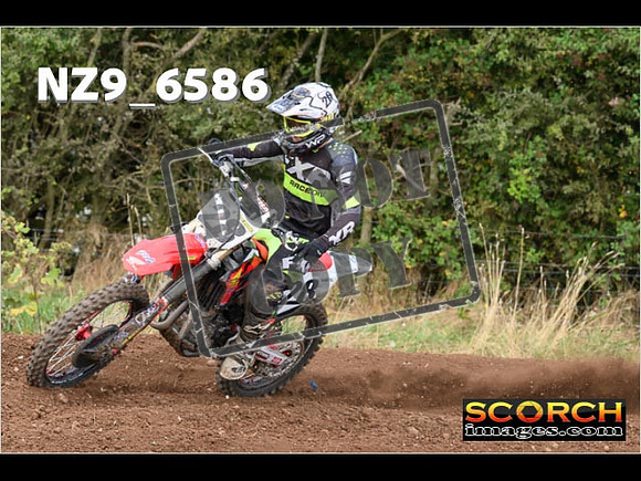 Experts-292