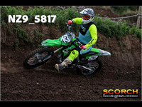 IntersGreen-009