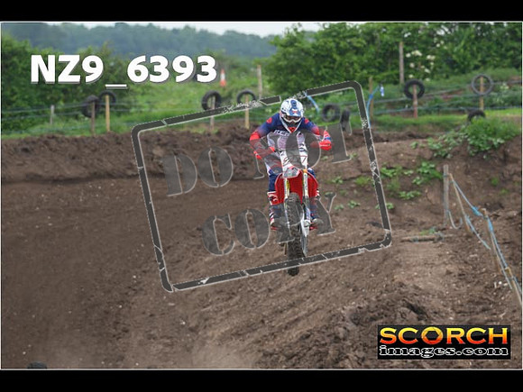 Experts-206