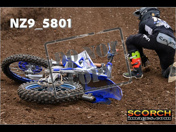 Experts-268