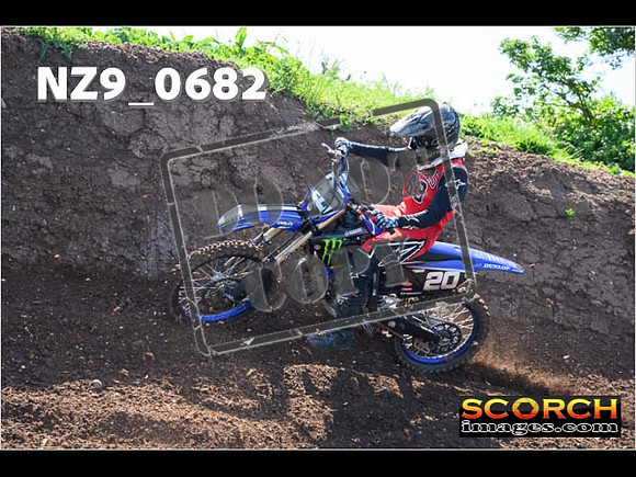 Experts-086