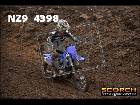 Experts-243