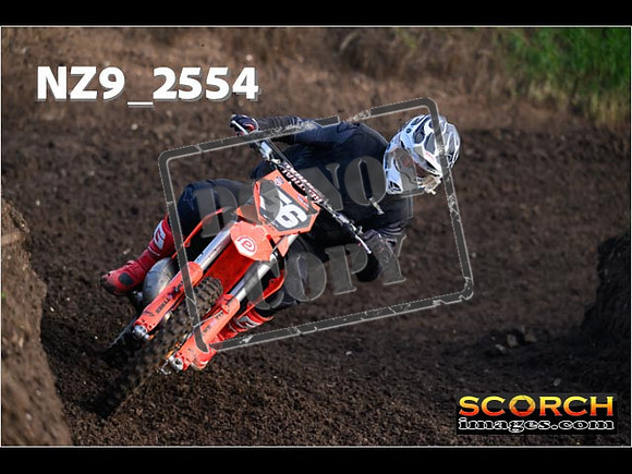 Experts-139
