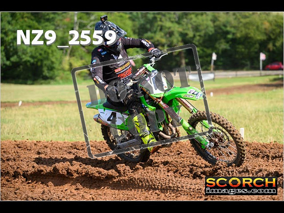 Experts-121