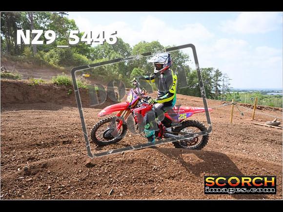 InterGreenOrange-297