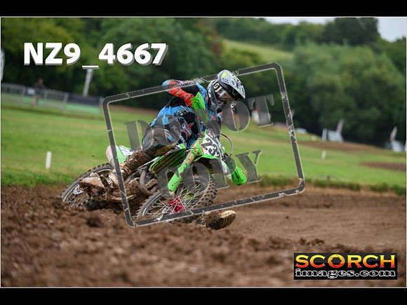 Experts-148
