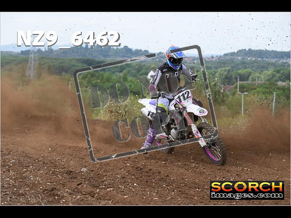 Experts-176