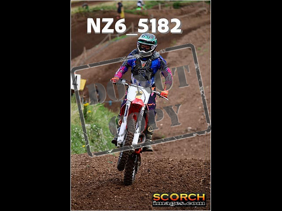 Inters Green-028