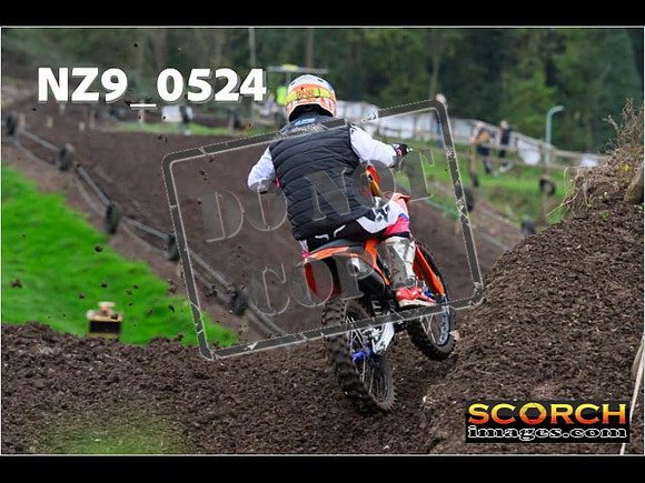 Experts-079