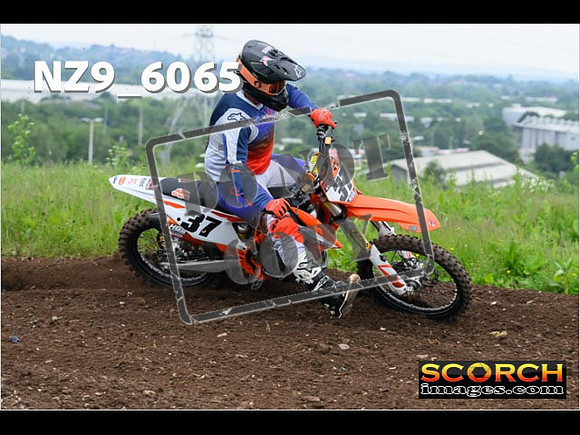 Experts-172