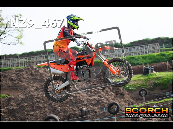 Experts-054