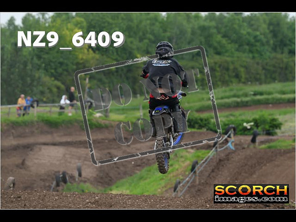 Experts-221