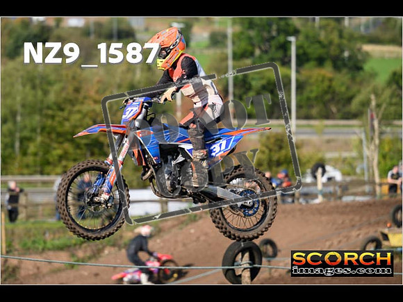 Experts-269
