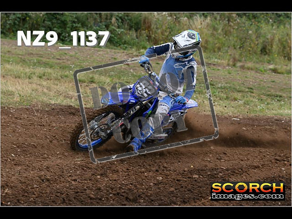 Experts-087