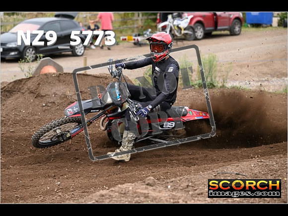 Experts-243