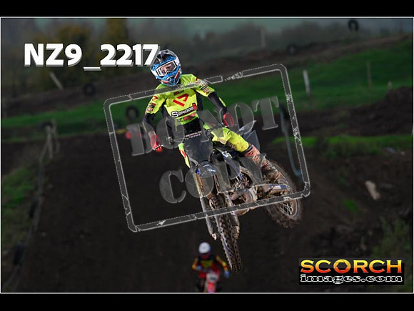 Experts-217