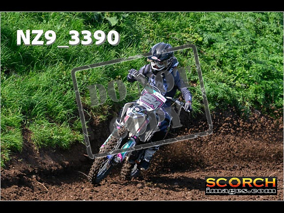 Experts-084