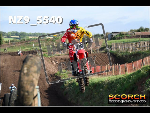Experts-069