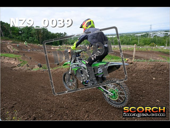 Inters GreenOrange-049