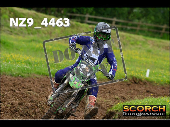 Experts-181