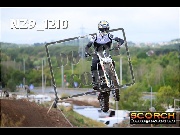 Experts-041