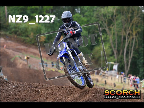 Experts-057