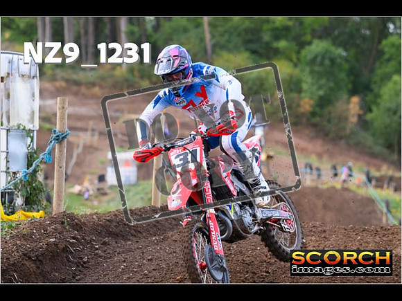 Experts-061