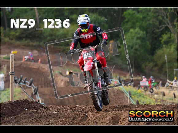 Experts-066
