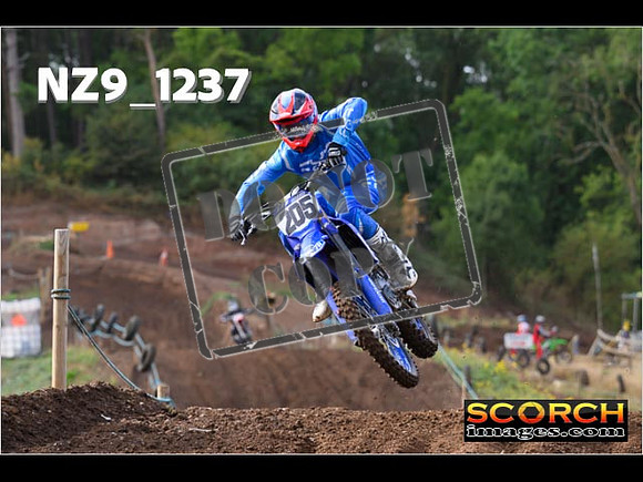 Experts-067