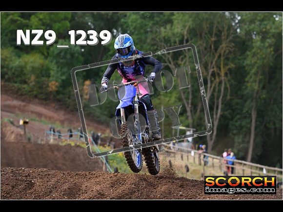 Experts-069